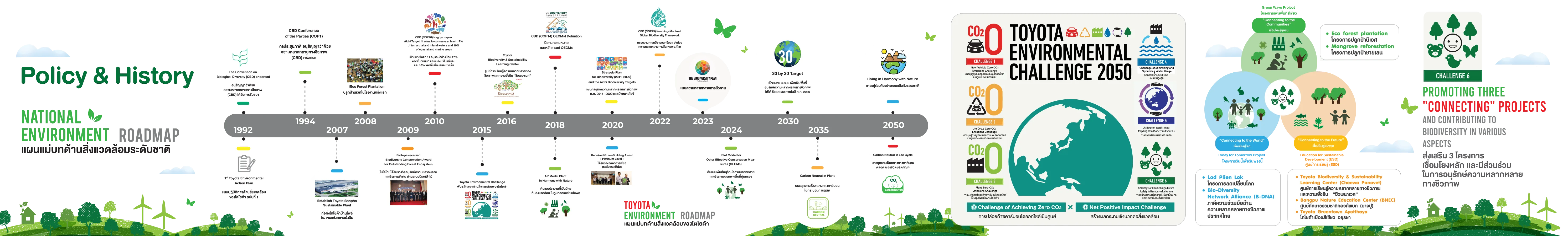 Policy and History — National Environment Roadmap