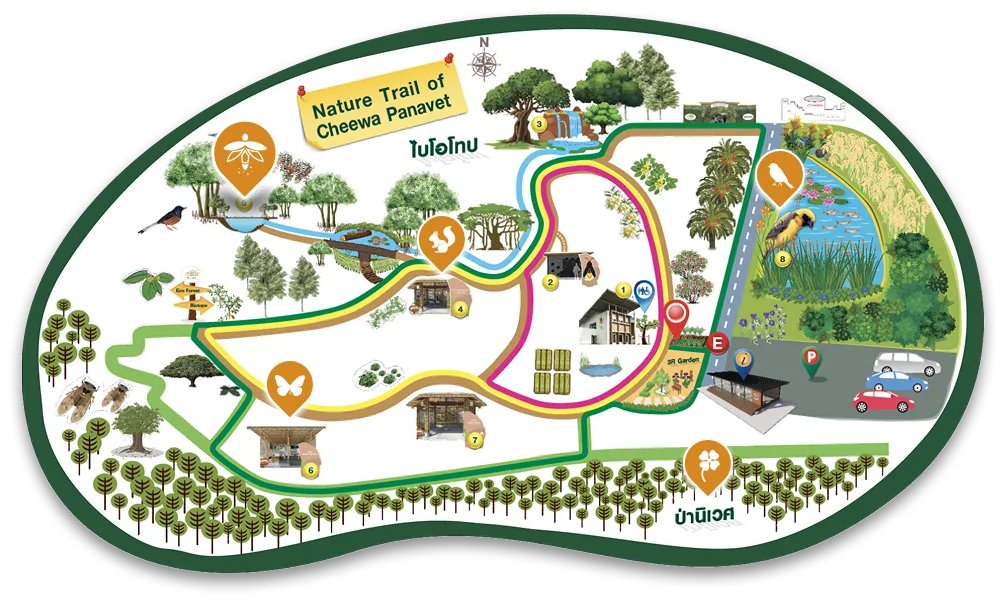 แผนที่เส้นทางศึกษาธรรมชาติ Nature Trail of Cheewa Panavet