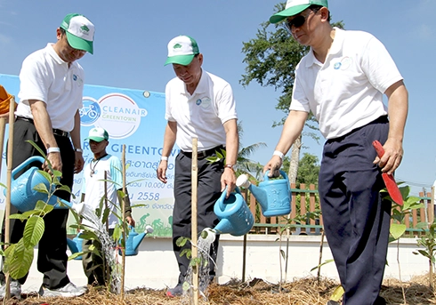 กิจกรรมปลูกต้นไม้
