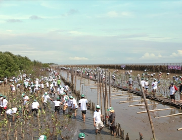 สะพานศึกษาธรรมชาติ